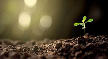 Recuperación económica global: ¿Se ven brotes verdes?